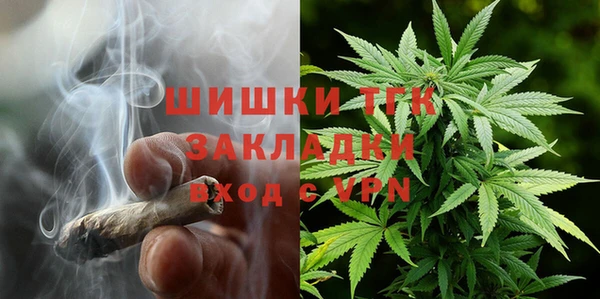 стаф Козельск