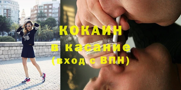 стаф Козельск