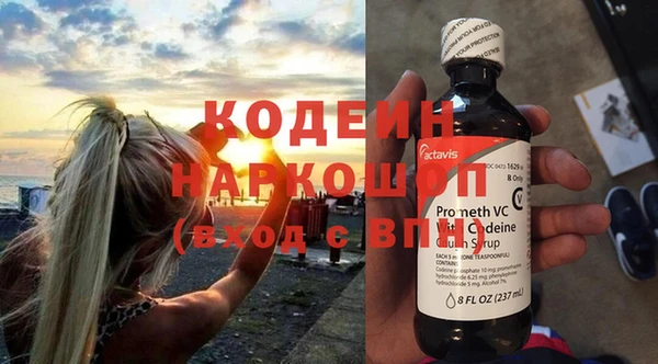 стаф Козельск