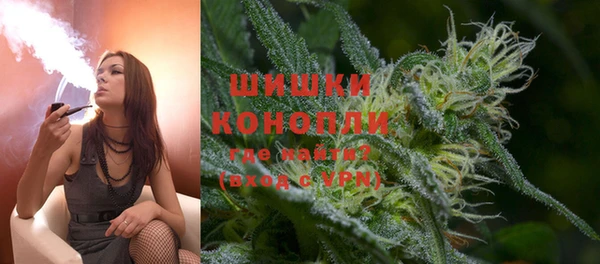 стаф Козельск