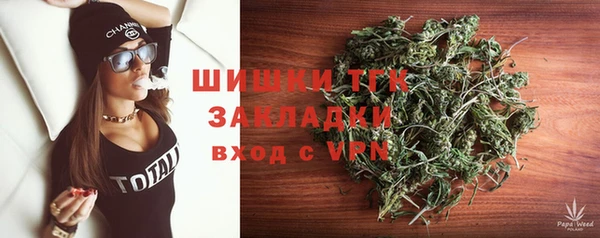 дмт Козловка
