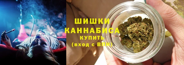 дмт Козловка