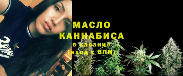 стаф Козельск