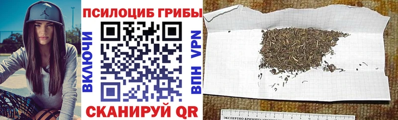 Купить где  Пугачёв  Галлюциногенные грибы GOLDEN TEACHER 